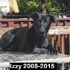 Izzy 2008-2015